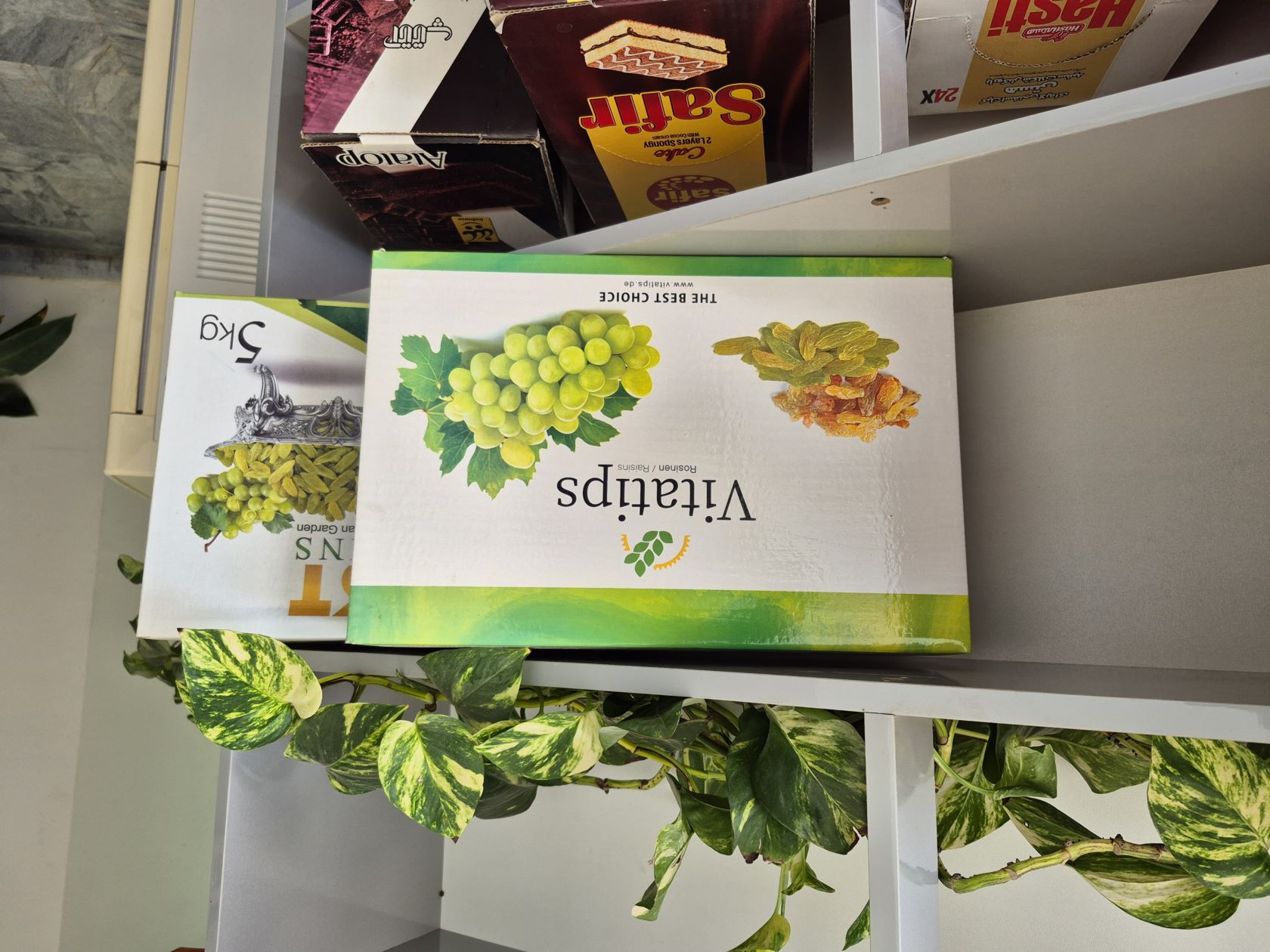 تولید انواع کارتن و جعبه